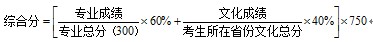 长沙学院2013年美术类专业综合分计算方法