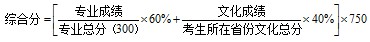 长沙学院2013年美术类专业综合分计算方法